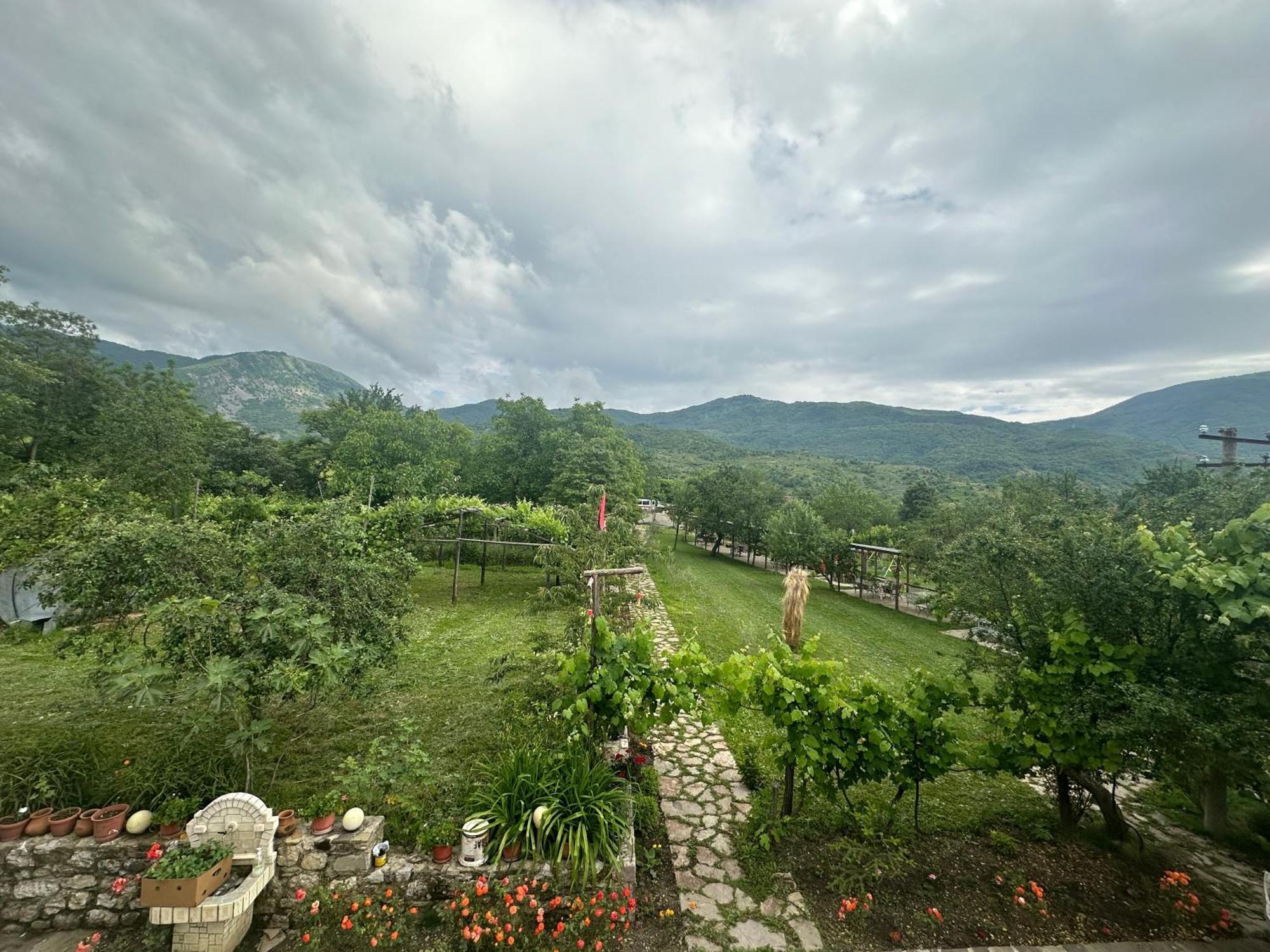 Vila Disha Tirana Exterior foto